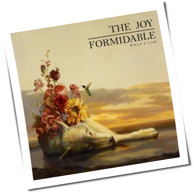 The Joy Formidable - Wolf's Law