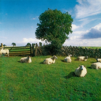 The KLF - Chill Out