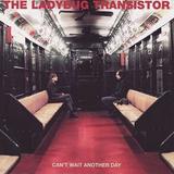 The Ladybug Transistor - Can't Wait Another Day