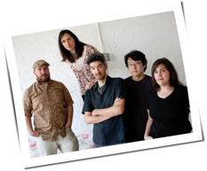 The Magnetic Fields