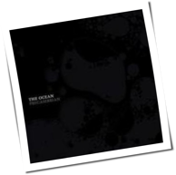 The Ocean - Precambrian
