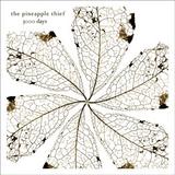 The Pineapple Thief - 3000 Days Artwork