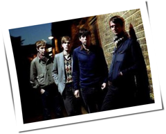 The Rakes