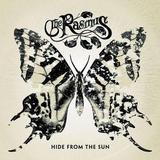 The Rasmus - Hide From The Sun Artwork