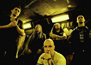 The Rotted