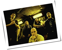 The Rotted