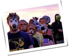The Sound Of Animals Fighting