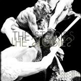 The Stories - Vainforest Artwork
