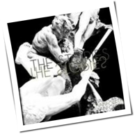 The Stories - Vainforest