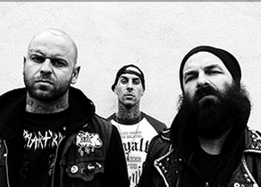 The Transplants