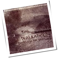 The Walkabouts - Travels In The Dustland