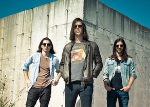 The Whigs