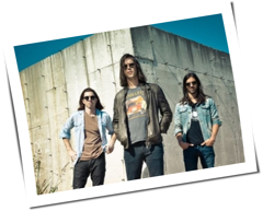 The Whigs
