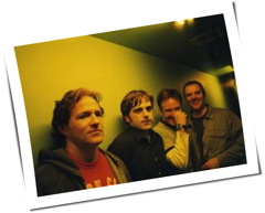 The Wrens