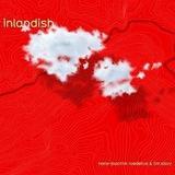 Tim Story & Hans Joachim Roedelius - Inlandish Artwork