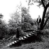 Timber Timbre - Timber Timbre Artwork