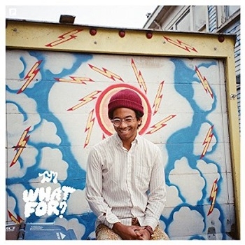 Toro Y Moi - What For? Artwork