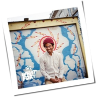 Toro Y Moi - What For?
