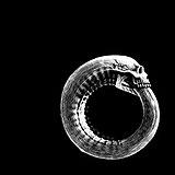 Turbonegro - Scandinavian Leather Artwork