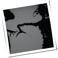 Twilight Singers - Dynamite Steps