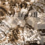 Twin Shadow - Forget Artwork