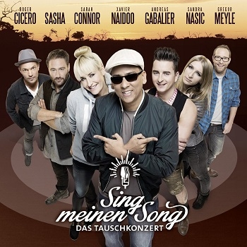 Various Artists - Sing Meinen Song Artwork
