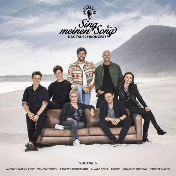 Various Artists - Sing Meinen Song - Das Tauschkonzert Vol. 6 Artwork