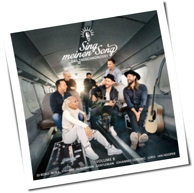 Various Artists - Sing Meinen Song – Das Tauschkonzert Vol. 8