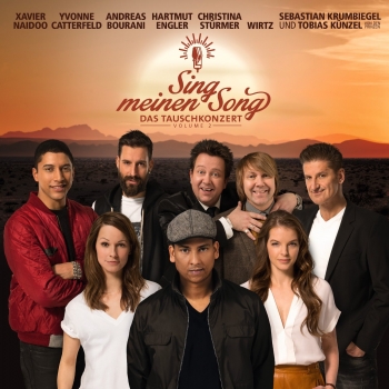 Various Artists - Sing Meinen Song Vol. 2 Artwork