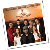 Various Artists - Sing Meinen Song Vol. 2