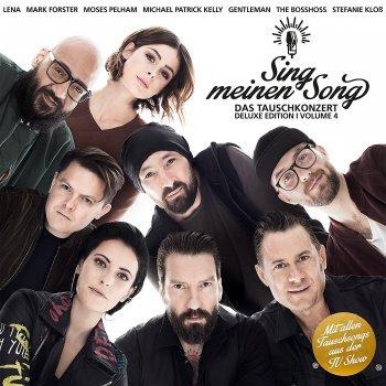 Various Artists - Sing Meinen Song Vol. 4 Artwork