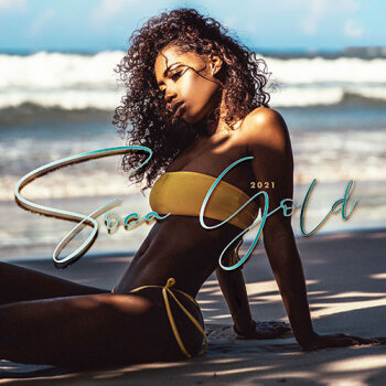 Various Artists - Soca Gold 2021 Artwork