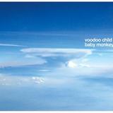 Voodoo Child - Baby Monkey Artwork