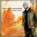 Wale Oyejide - One Day, Everything Changed Artwork