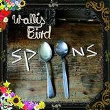 Wallis Bird - Spoons Artwork