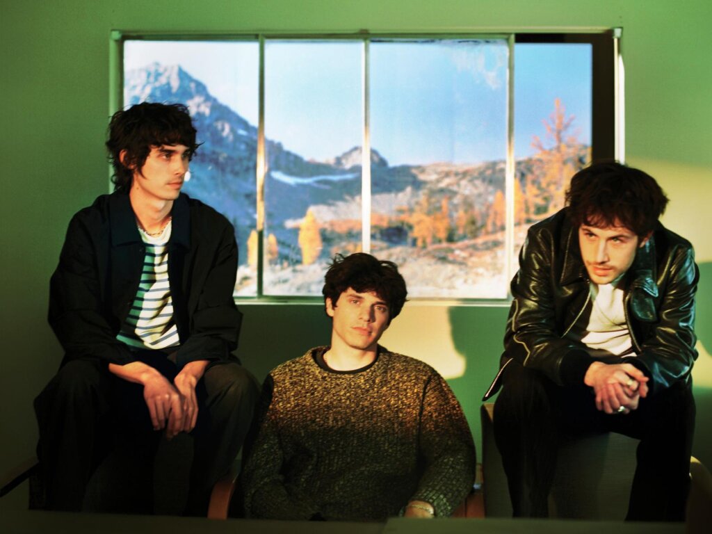 Wallows