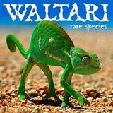 Waltari - Rare Species Artwork