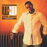 Wayne Wonder - No Holding Back