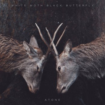 White Moth Black Butterfly - Atone