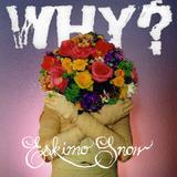 Why? - Eskimo Snow Artwork