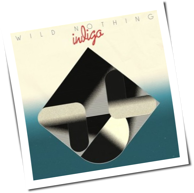Wild Nothing - Indigo