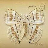 Xavier Rudd - White Moth Artwork