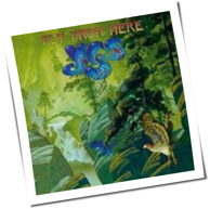Yes - Fly From Here