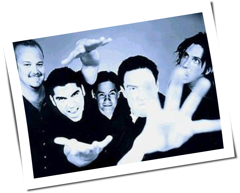 Zebrahead