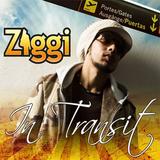 Ziggi - In Transit