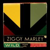 Ziggy Marley - Wild And Free Artwork