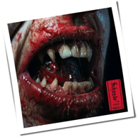 Zombiez - Schande (Buch 3 + 4)