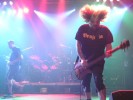 Wenn vier Tier mit Instrumenten über die Bühen rennen, sind es Napalm Death, Napalm Death im Schlachthof, Wiesbaden | © LAUT AG (Fotograf: Michael Edele)