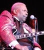 B.B. King, | © laut.de (Fotograf: Christoph Cordas)