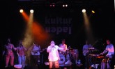 Der Berliner und die Ruffcats begeisterten die volle Hütte., Gesehen im Kulturladen Konstanz 2006 | © laut.de (Fotograf: Niko Dittmann)